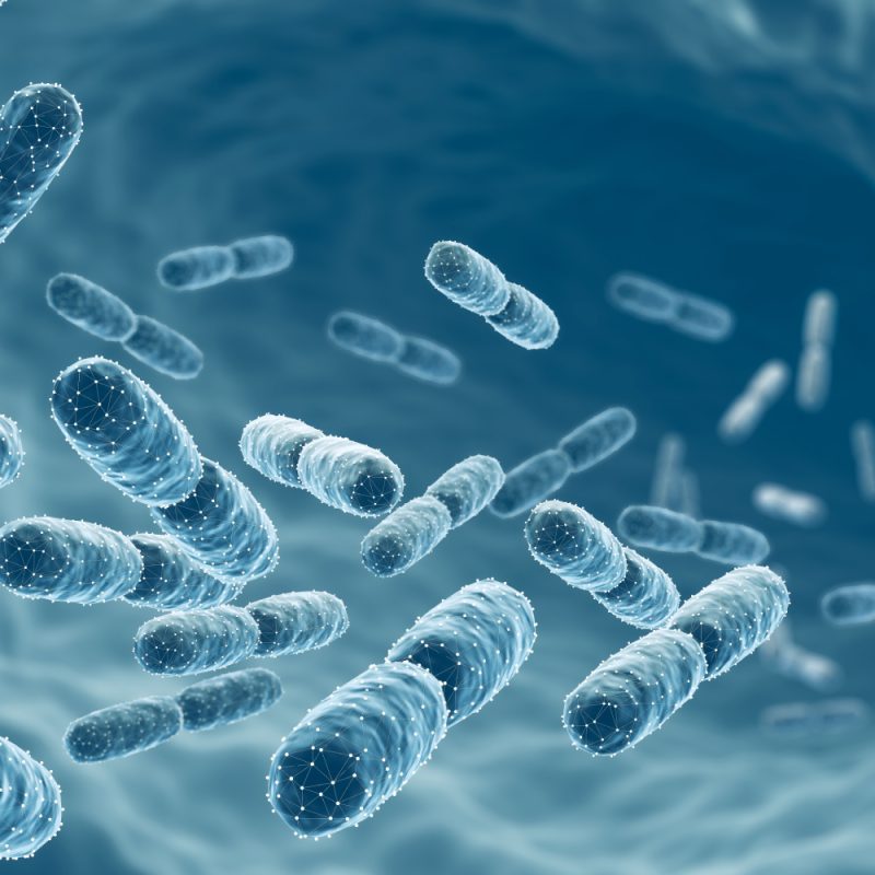 probiotic-supplements-benefits